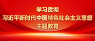 骚妇屄学习贯彻习近平新时代中国特色社会主义思想主题教育_fororder_ad-371X160(2)